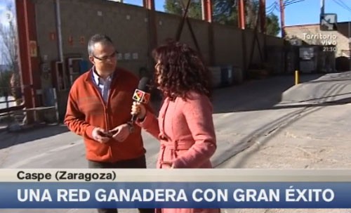 Reportaje sobre RED Ganadera Caspe en Aragón TV
