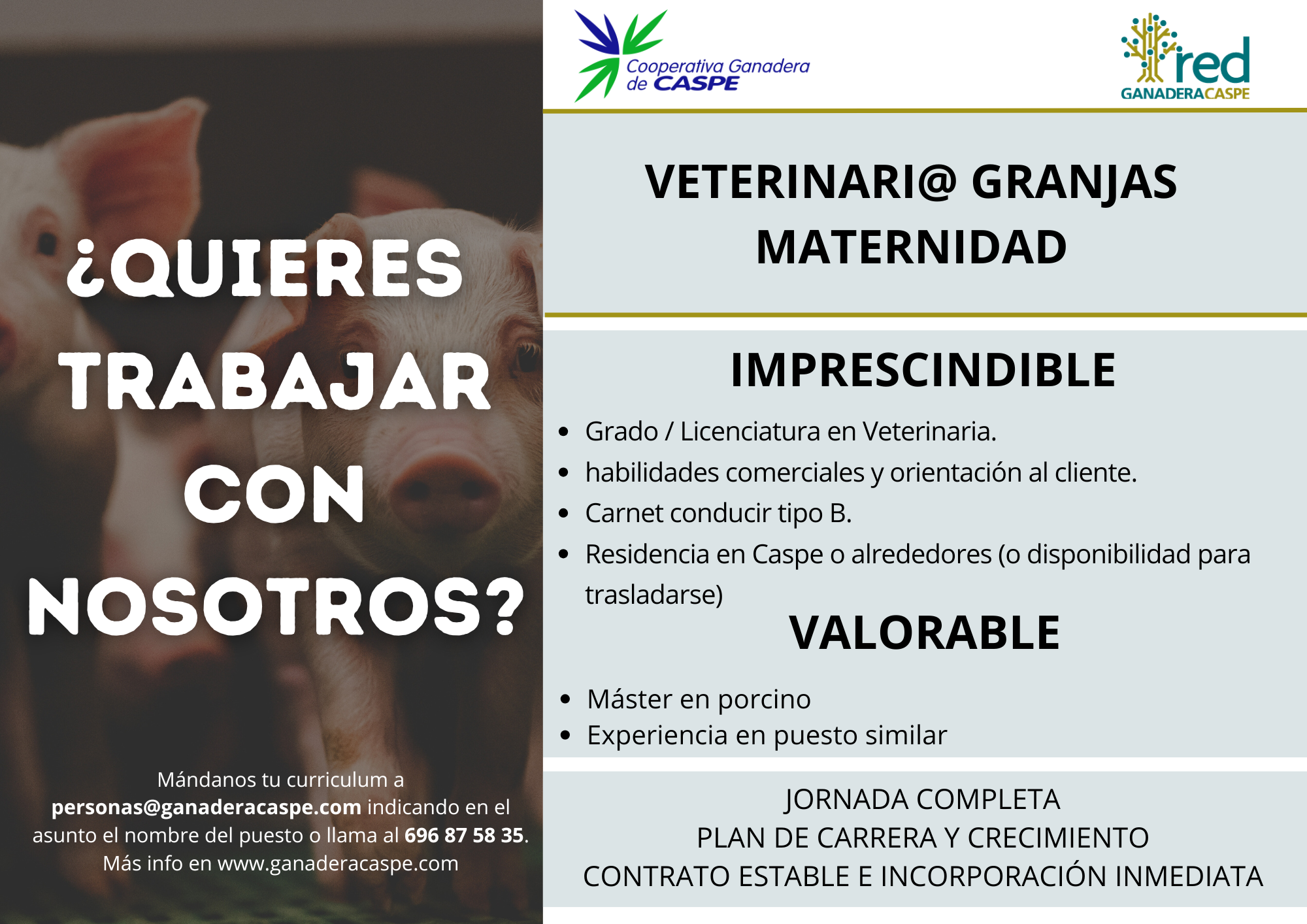 oferta empleo veterinario granjas maternidad