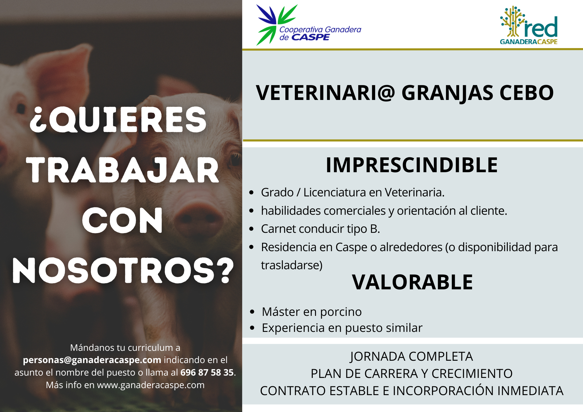 oferta empleo veterinario