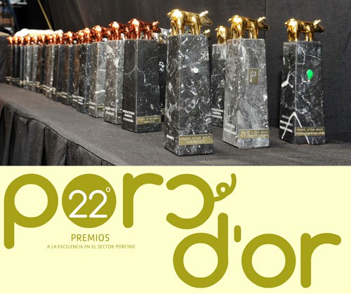 Premios PORC D'OR 2015